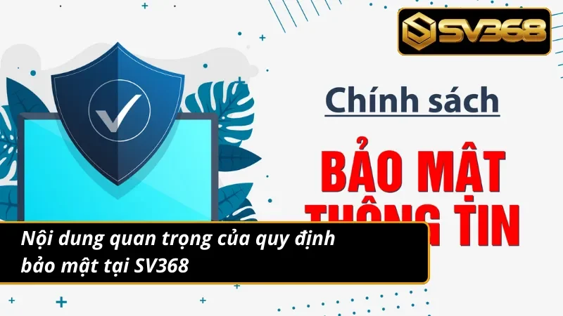 Những quy định quan trọng của chính sách bảo mật