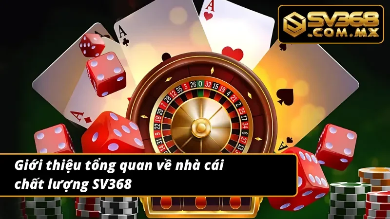 Trang Chủ 28 Những thông tin sơ lược về thương hiệu SV368